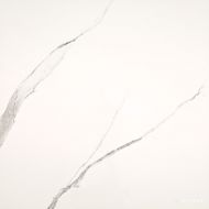 Calacatta Cavan 45x45