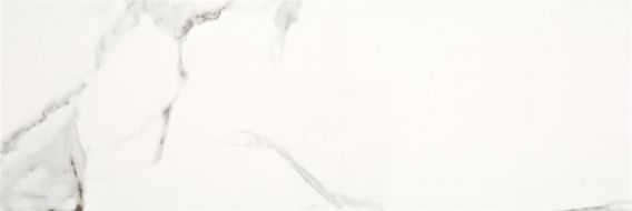 Calacatta Cavan Brillo 20x60