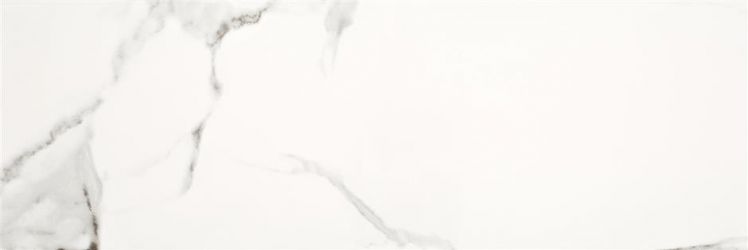 Calacatta Cavan Brillo 20x60