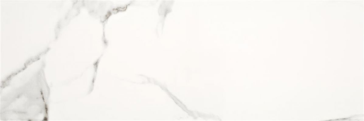 Calacatta Cavan Brillo 20x60
