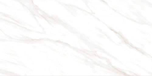 Calacatta Clarity Gold Белый Матовый 60х120