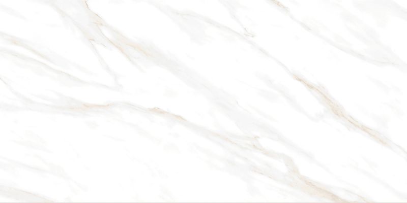 Calacatta Clarity Gold Белый Матовый 60х120