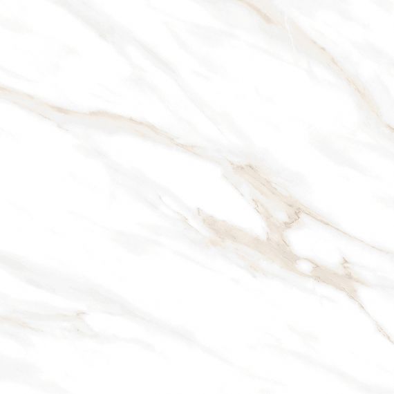 Calacatta Clarity Gold Белый Матовый 60х60