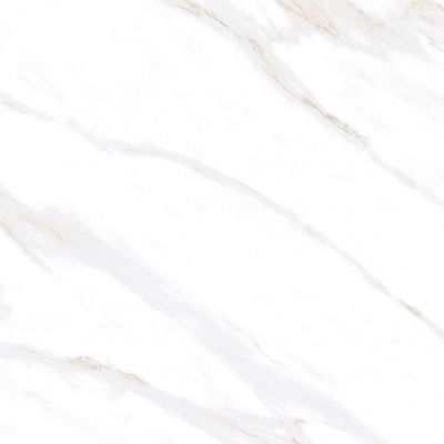 Calacatta Clarity Gold Белый Матовый 80х80