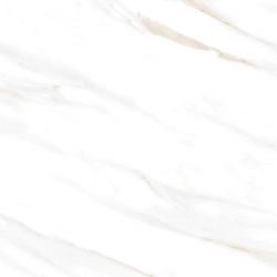 Calacatta Clarity Gold Белый Полированный 60х60