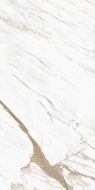 Calacatta Classico Glossy 600x1200