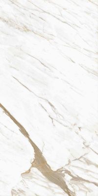 Calacatta Classico Glossy 600x1200