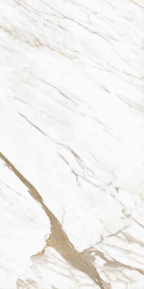 Calacatta Classico Glossy 600x1200