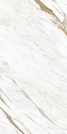 Calacatta Classico Glossy 800x1600