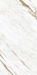 Calacatta Classico Glossy 800x1600