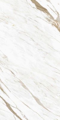 Calacatta Classico Glossy 800x1600