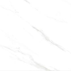 Calacatta Genius Белый Полированный 60х60
