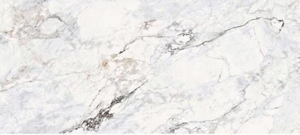 Calacatta Glosst 120x270