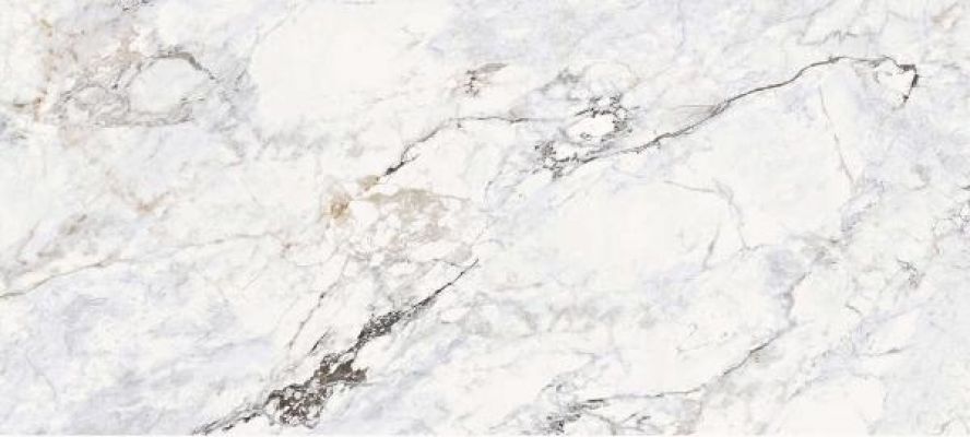 Calacatta Glosst 120x270