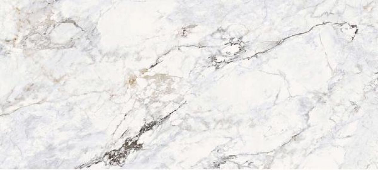 Calacatta Glosst 120x270
