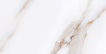 Calacatta Gold 32x62.5