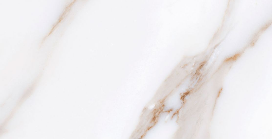 Calacatta Gold 32x62.5