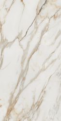 Calacatta Gold 80x160