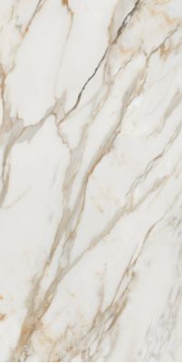 Calacatta Gold 80x160