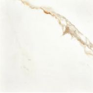 Calacatta Gold Pol Rett 80x80