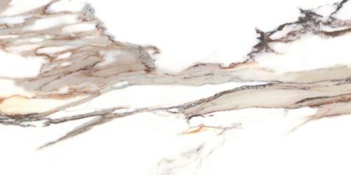 Calacatta Gold Rect 119,7x59,7