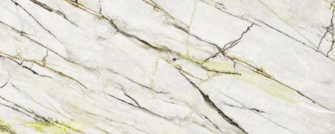 Calacatta Green Polished 120x300