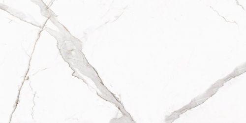 Calacatta Oro Matt 60x120