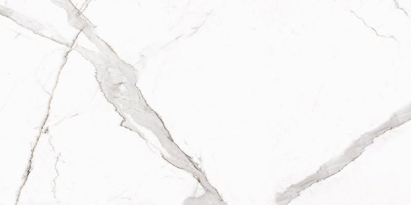 Calacatta Oro Matt 60x120