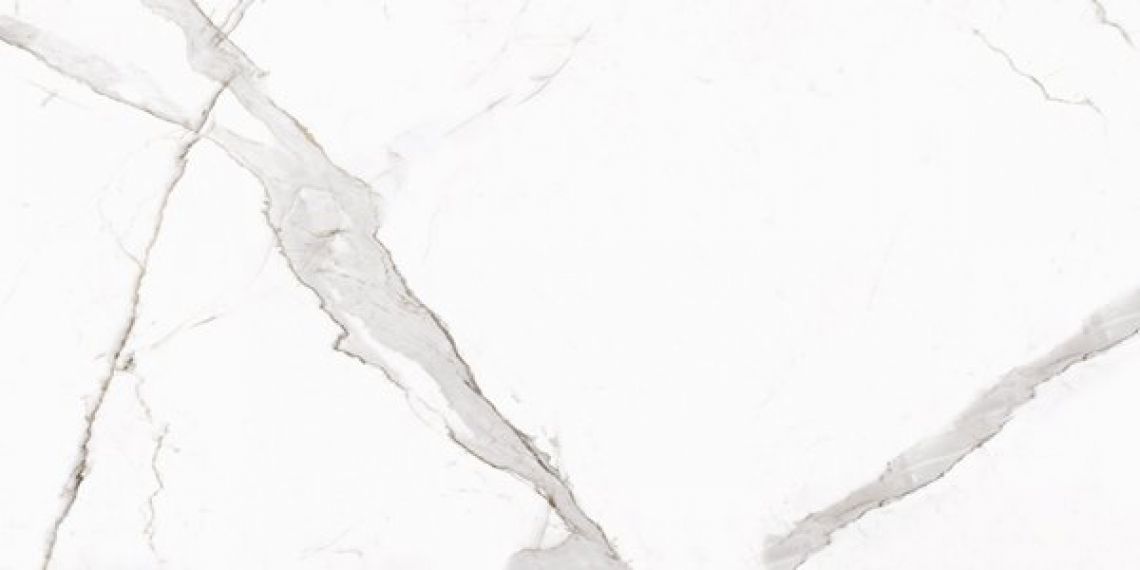Calacatta Oro Matt 60x120