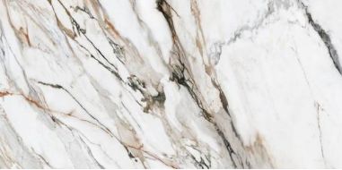 Calacatta Paonazzo Polished Rect 60x120