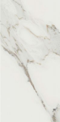Calacatta Reale JW02 Nat 60x119.7