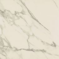 Calacatta Rectified Matt 80x80