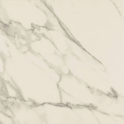 Calacatta Rectified Matt 80x80