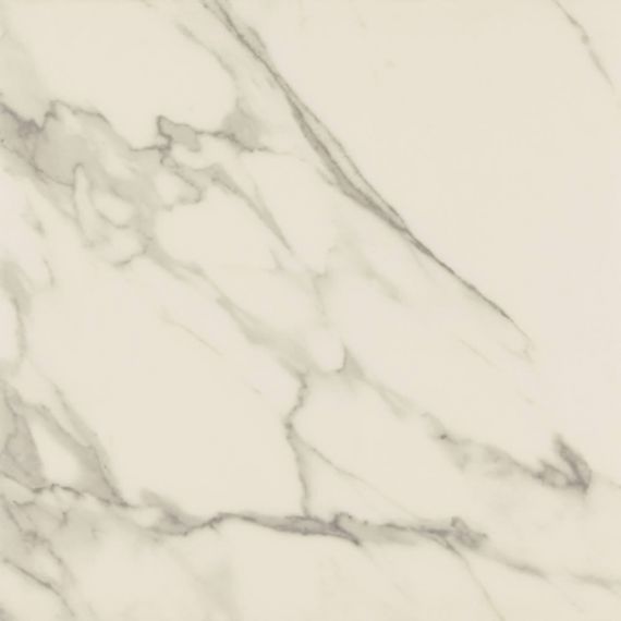 Calacatta Rectified Matt 80x80