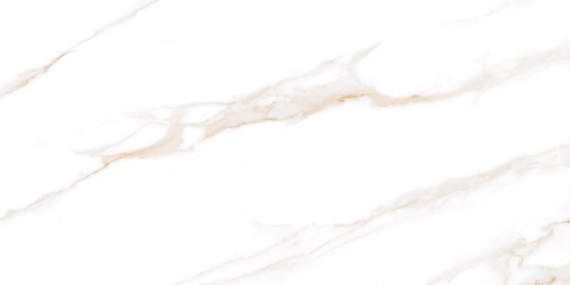 Calacatta Regal Gold Белый Полированный 60х120