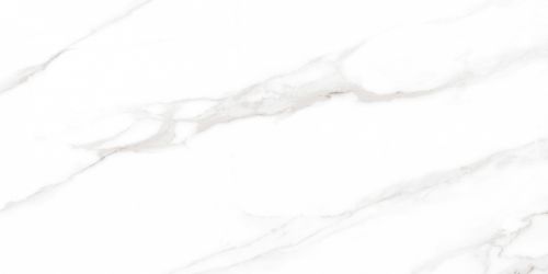 Calacatta Regal Grey Белый Полированный 60х120
