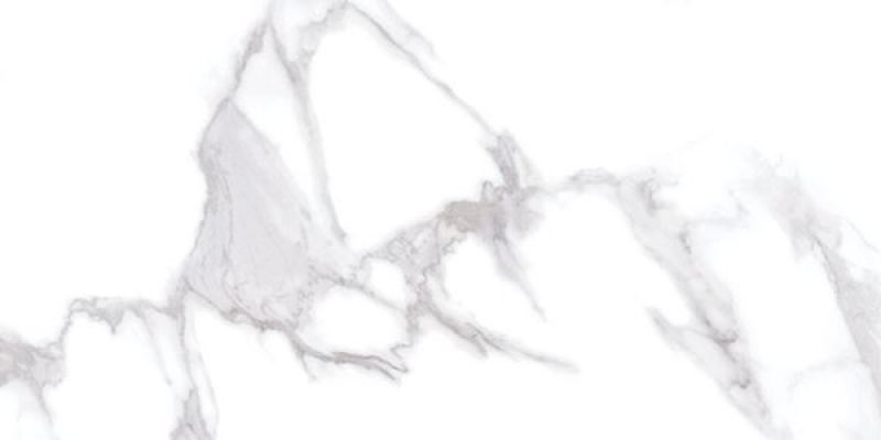 Calacatta Smoke 60x120