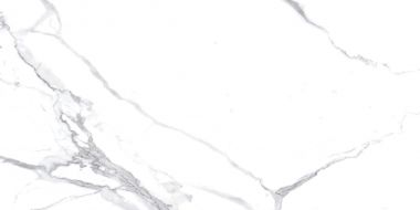 Calacatta Splendid Silver Белый Матовый 60х120