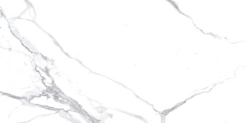 Calacatta Splendid Silver Белый Матовый 60х120