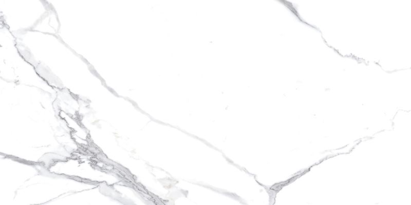 Calacatta Splendid Silver Белый Матовый 60х120