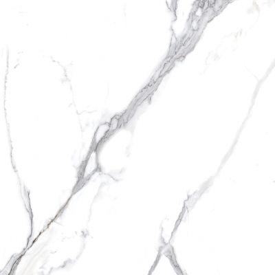 Calacatta Splendid Silver Белый Матовый 60х60