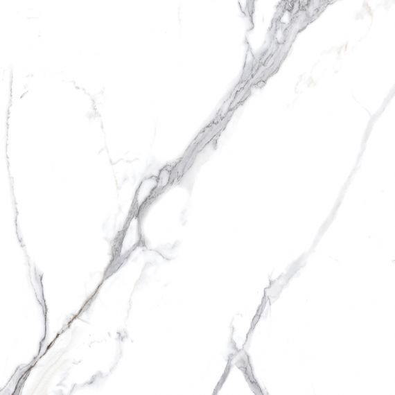 Calacatta Splendid Silver Белый Матовый 60х60