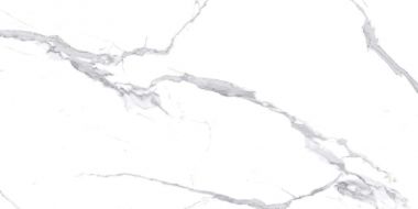 Calacatta Splendid Silver Белый Полированный 60х120