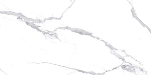 Calacatta Splendid Silver Белый Полированный 60х120