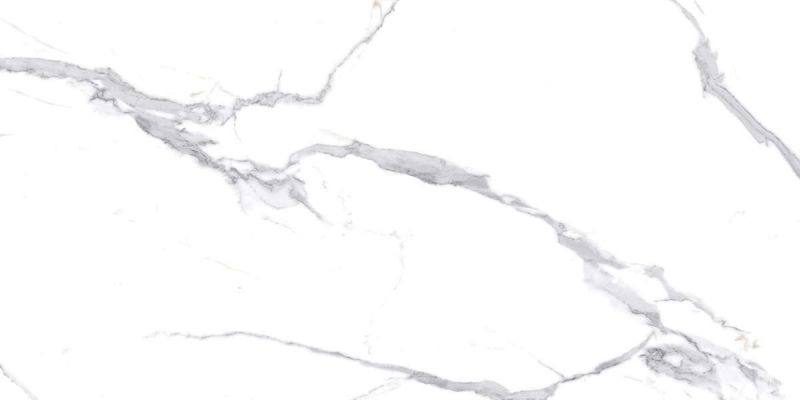 Calacatta Splendid Silver Белый Полированный 60х120