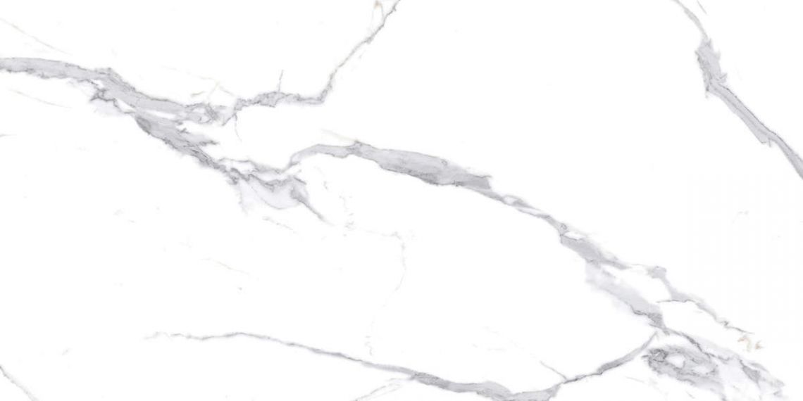 Calacatta Splendid Silver Белый Полированный 60х120