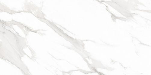 Calacatta Super White Polished 60x120