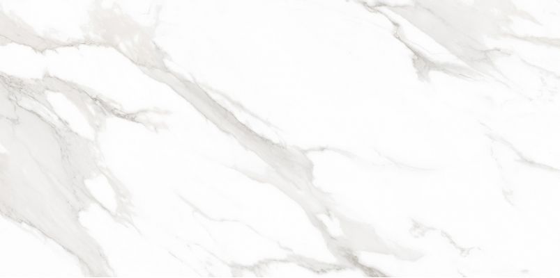 Calacatta Super White Polished 60x120