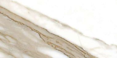 Calacatta rec 60x120