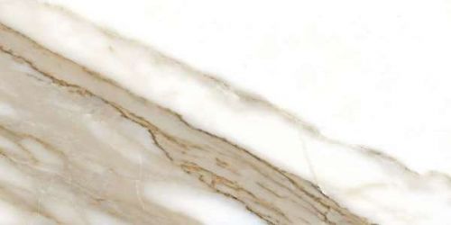 Calacatta rec 60x120